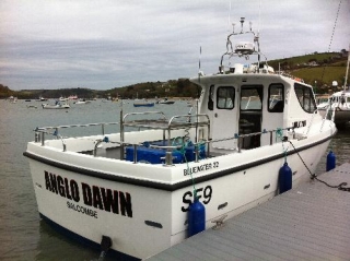  ´Anglo Dawn´ 